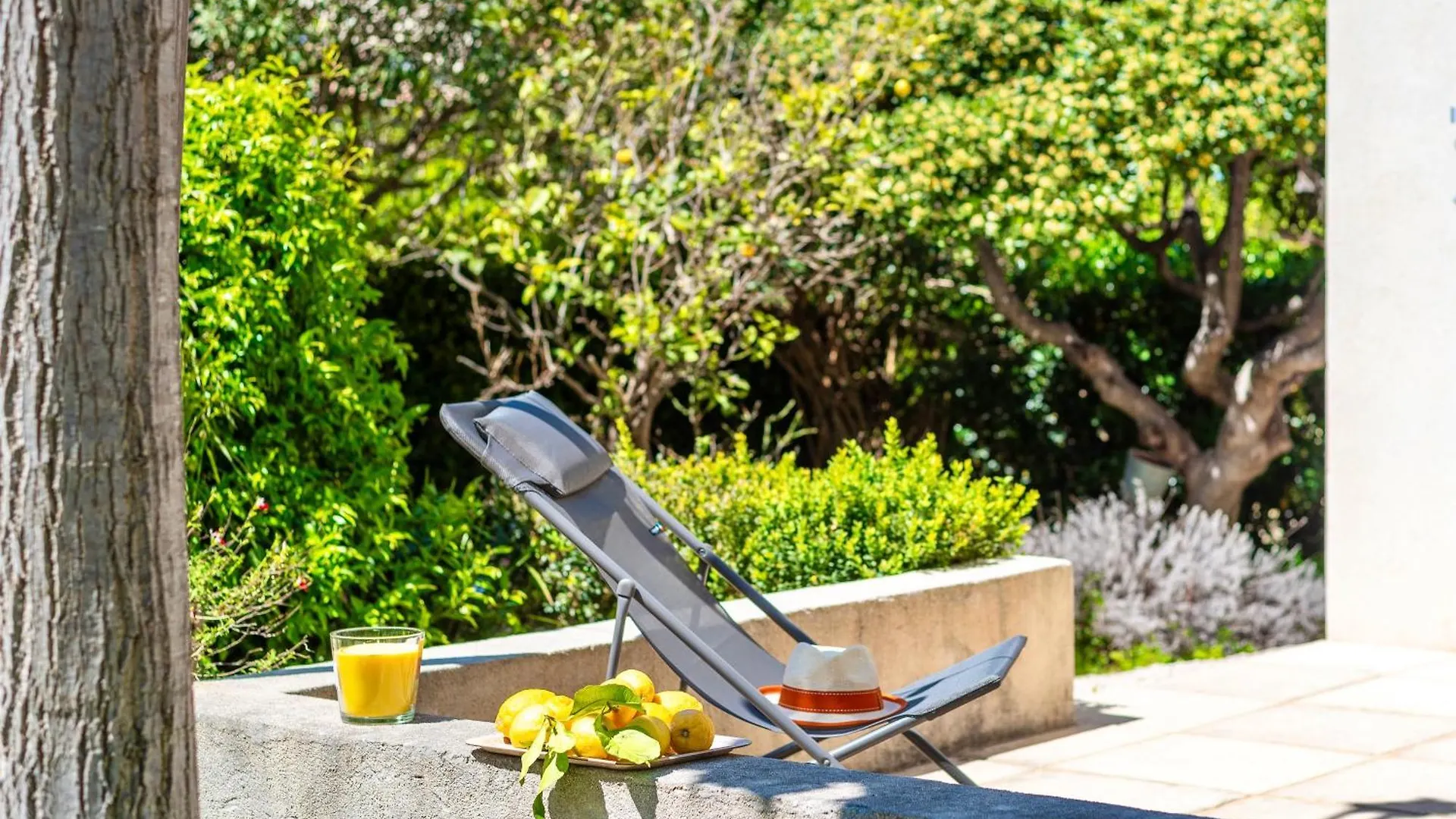 Maison Cap Brun Jardin Parking Tolone