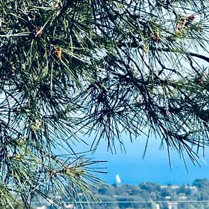 Maison Independante Vue Au Coeur De La Nature Toulon