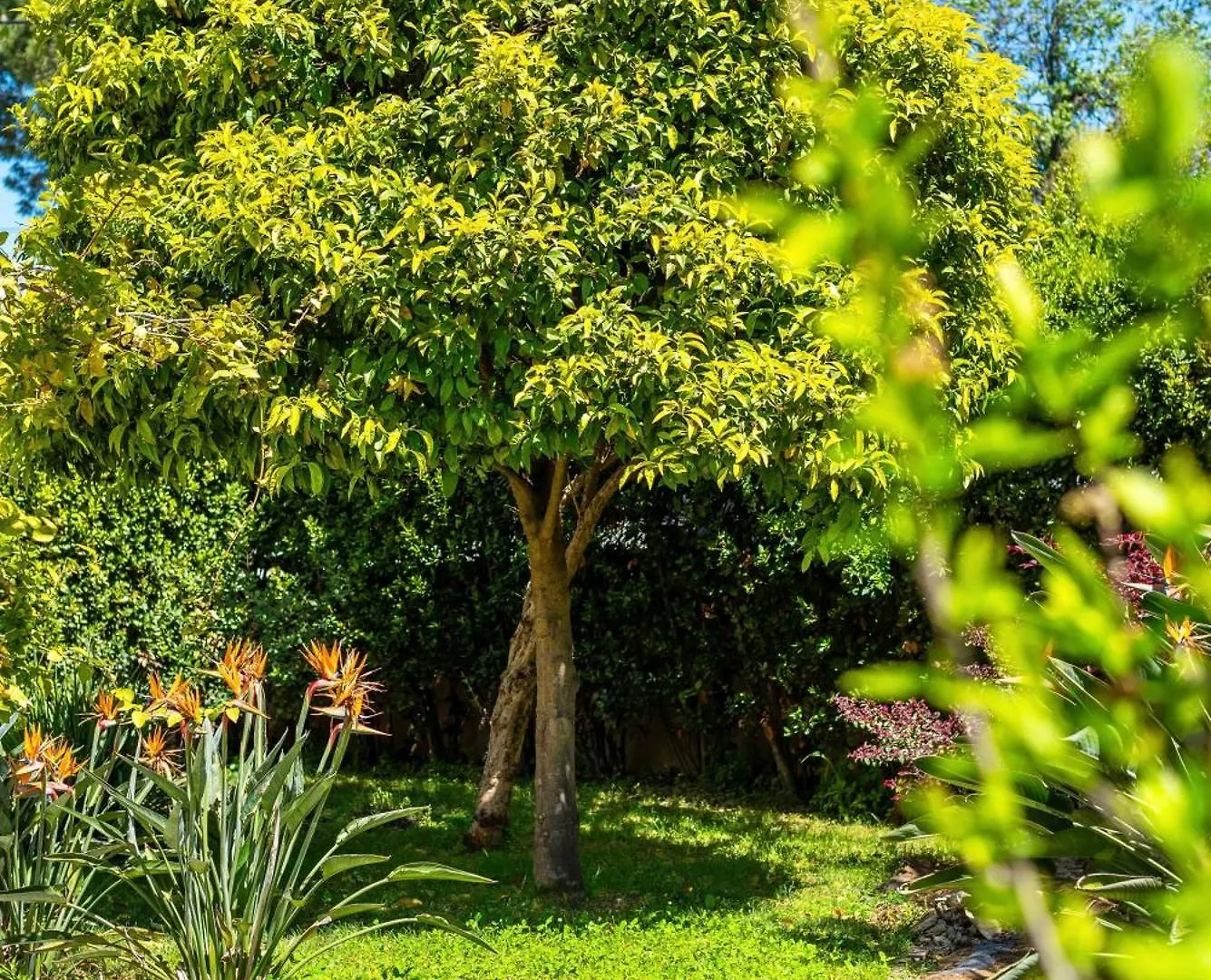 Maison Cap Brun Jardin Parking Toulon 0*,